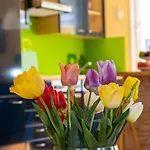 Am Bodensee Mit Garten Und Terrasse By Interhome * Radolfzell am Bodensee